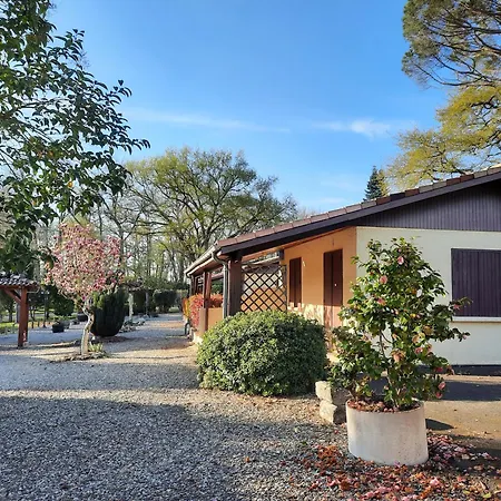 Mf N 4 Apartmán
